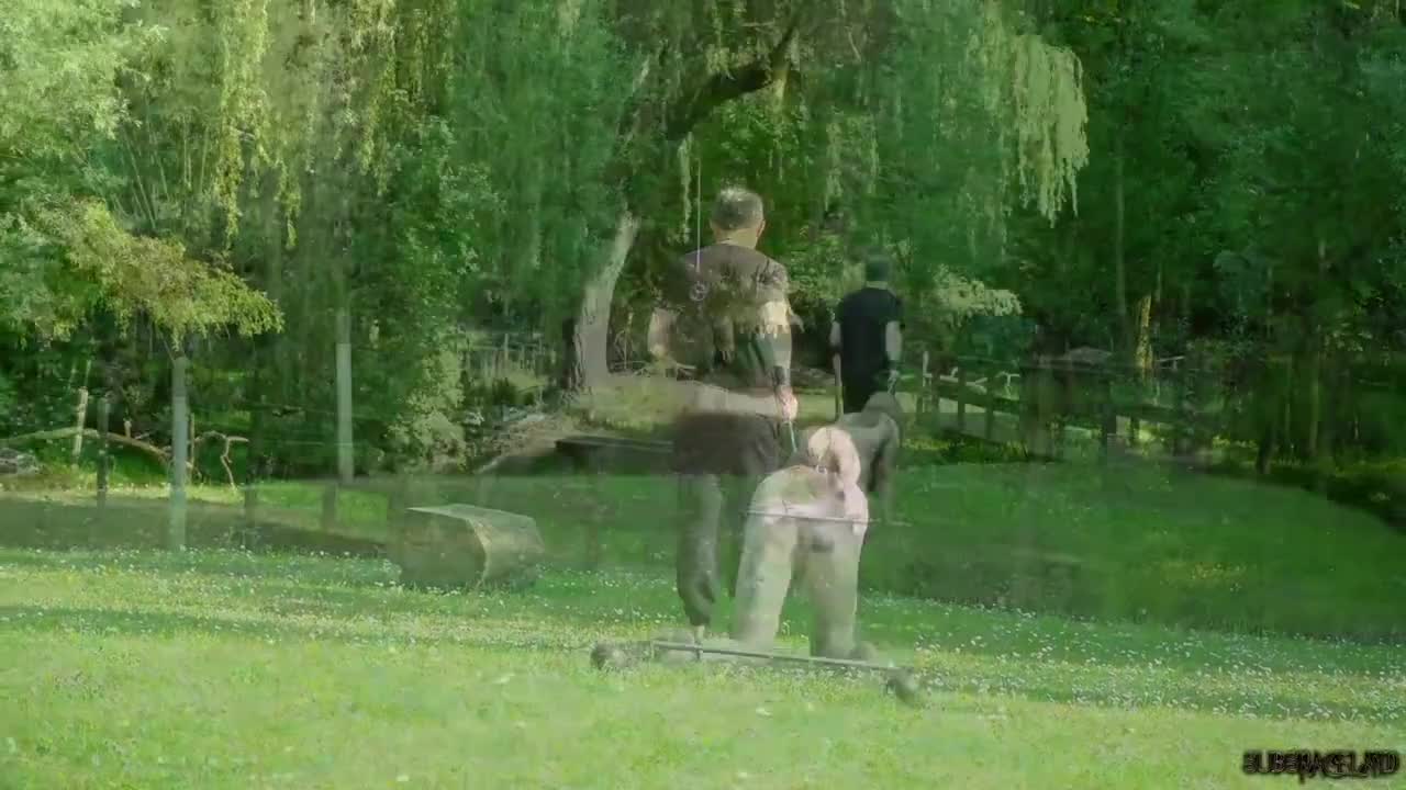 Watch Blonde slut endures bitch slpping and bondage humiliation outdoors Full. Duration: 06:18 | ePornBabe.