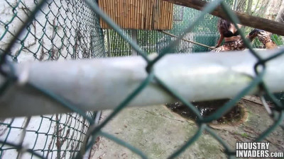 Glassed kitty Stefania Mafra gets contained by her BBC handler