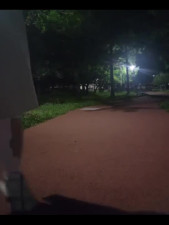 Shameless Chinese cutie flashes her pussy in the nightly park