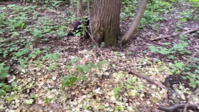 Slutty blonde teen with a slender body gets nailed really intense in the forest
