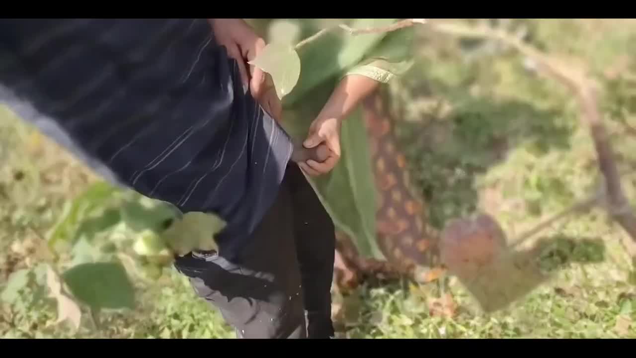 Watch Big ass indian gets fucked in the field POV Full. Duration: 06:11 | ePornBabe.