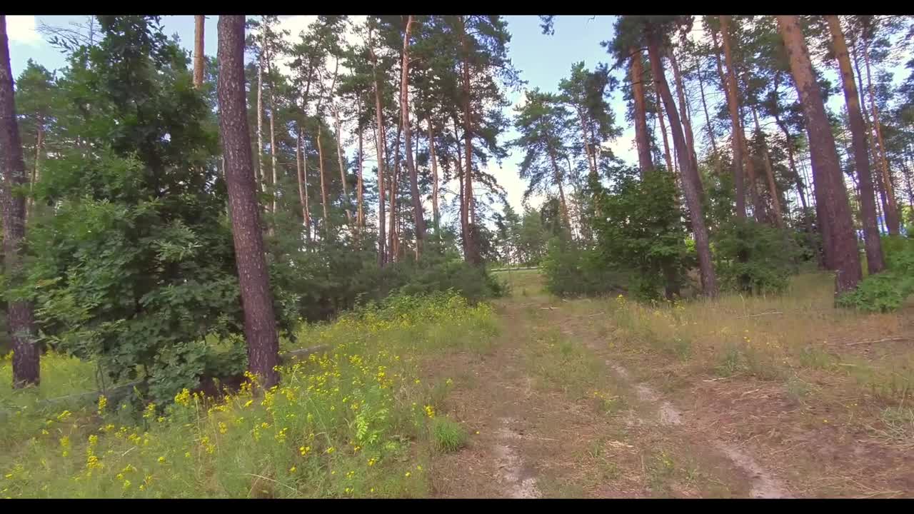 Watch Standing fucking in the middle of a forest Full. Duration: 10:02 | ePornBabe.
