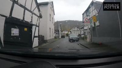Vlogging their sex life, the boyfriend and Hermione Potter do everything everywhere