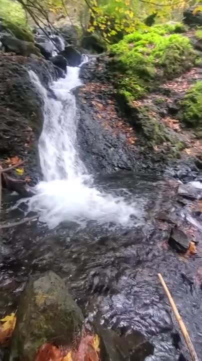 Watch Curvy babe is sensually squirting while enjoying a public solo near her favorite waterfall. Full. Duration: 07:41 | ePornBabe.