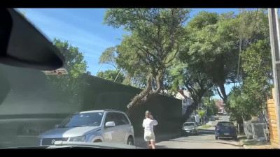 Generous MILF strokes a stranger's cock through his car window