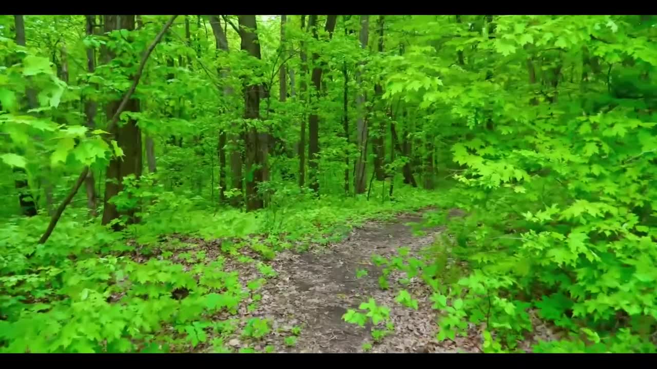 Watch Ebony Beauty's Outdoor Blowjob Adventure Full. Duration: 10:06 | ePornBabe.