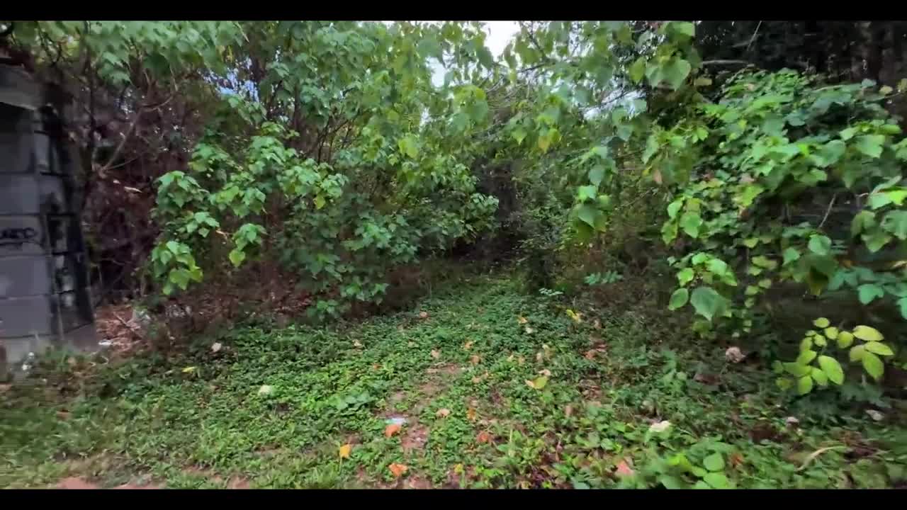 Watch Abandoned places, wet pussies, and crazy public sex - check it out Full. Duration: 10:30 | ePornBabe.